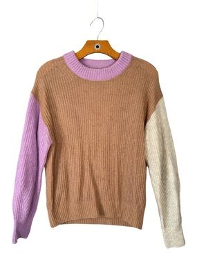 Everlane The Cocoon Crew in Alpaca Colorblocked Sweater Ribbed Quiet Luxury S